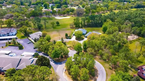 12 Anton Court Homosassa FL 34446