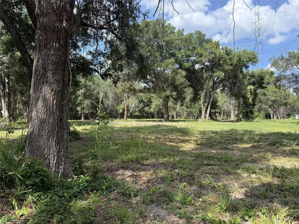 620 Cochran Road Geneva FL 32732