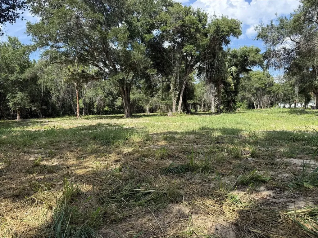 620 Cochran Road Geneva FL 32732