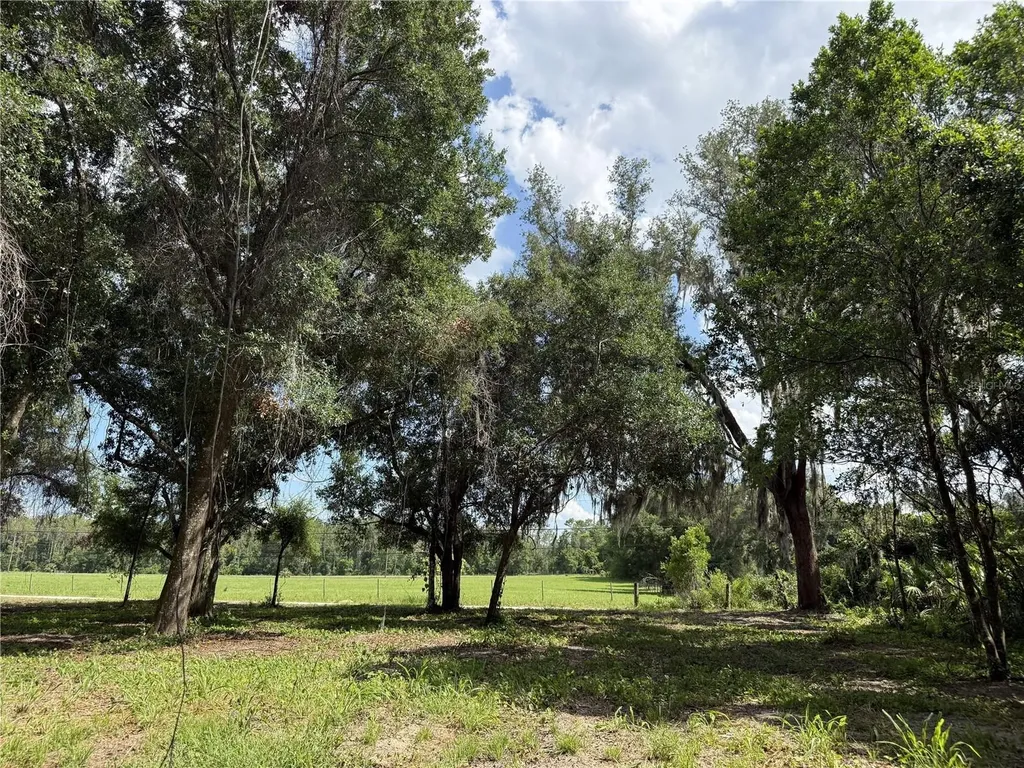 620 Cochran Road Geneva FL 32732