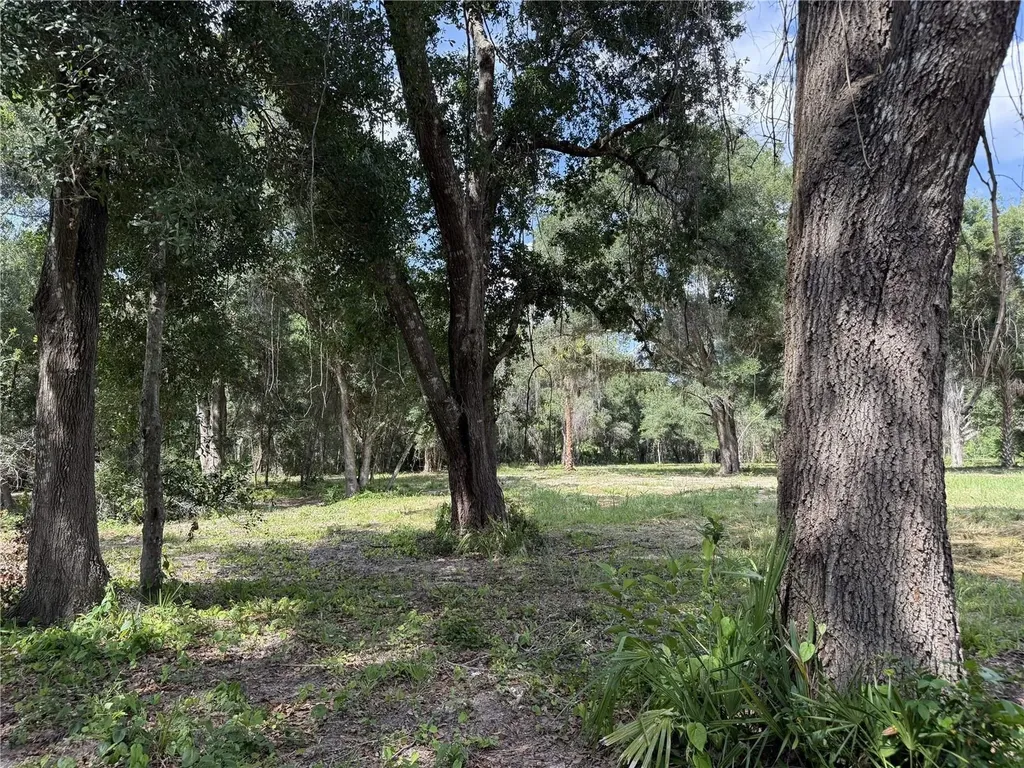 620 Cochran Road Geneva FL 32732