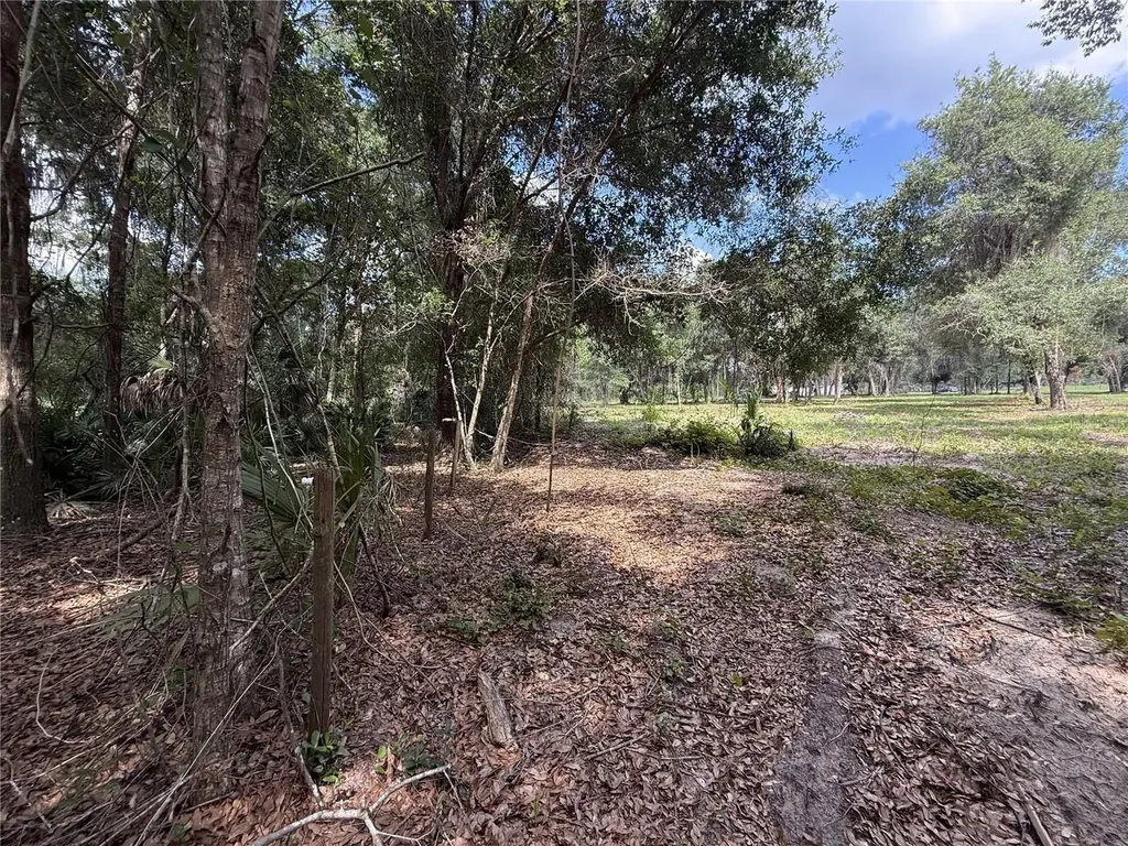 620 Cochran Road Geneva FL 32732