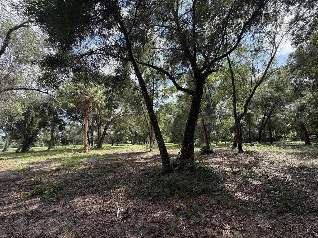 620 Cochran Road Geneva FL 32732