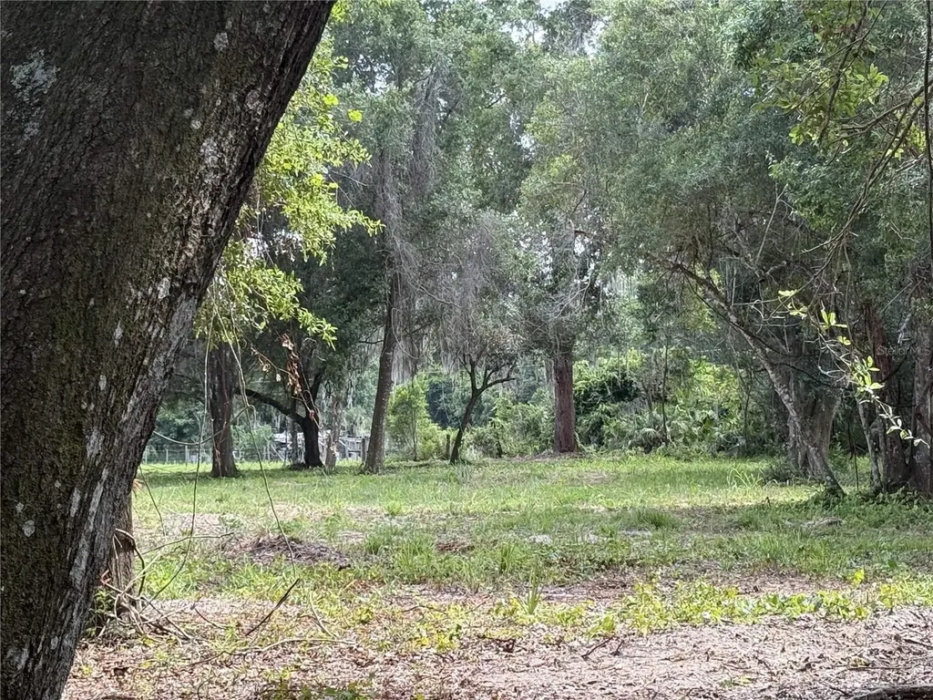 620 Cochran Road Geneva FL 32732