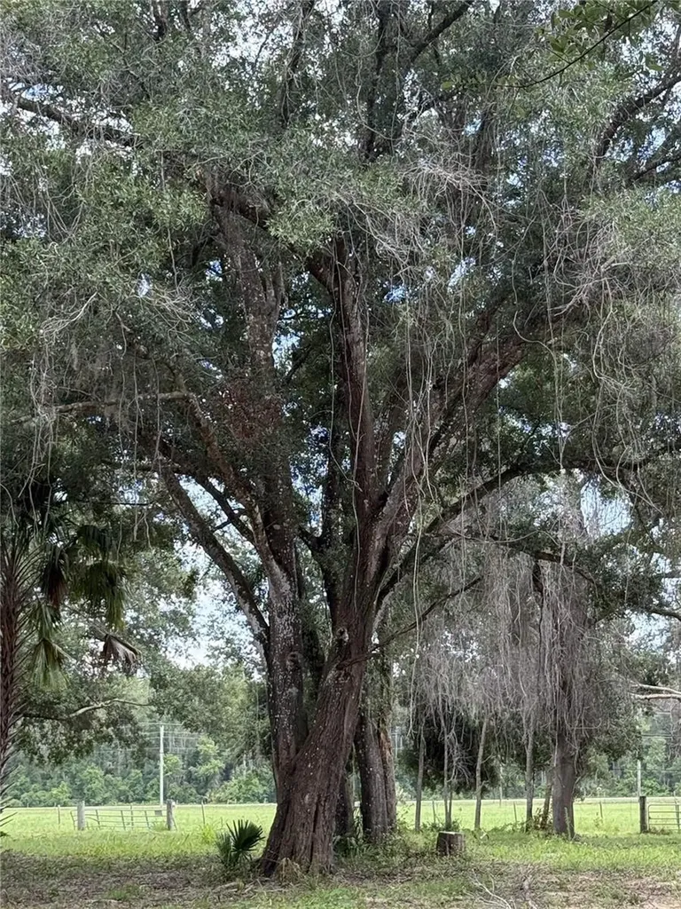 620 Cochran Road Geneva FL 32732
