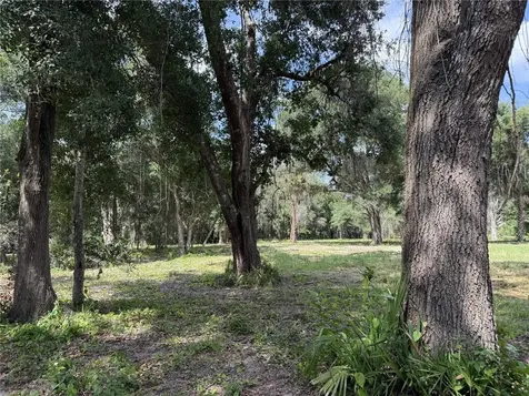 620 Cochran Road Geneva FL 32732