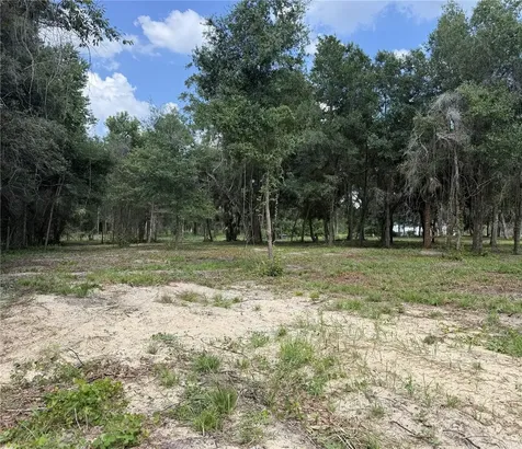 620 Cochran Road Geneva FL 32732