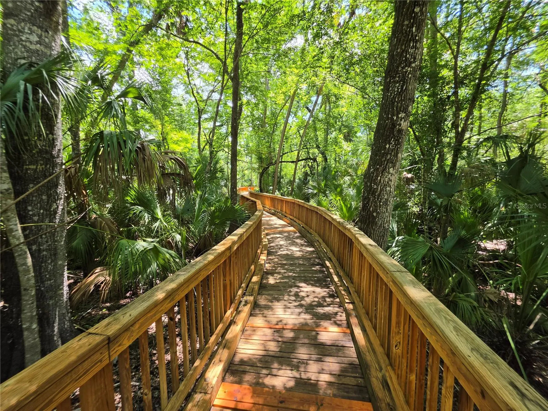 25846 Terrawood Loop Land O Lakes FL 34639