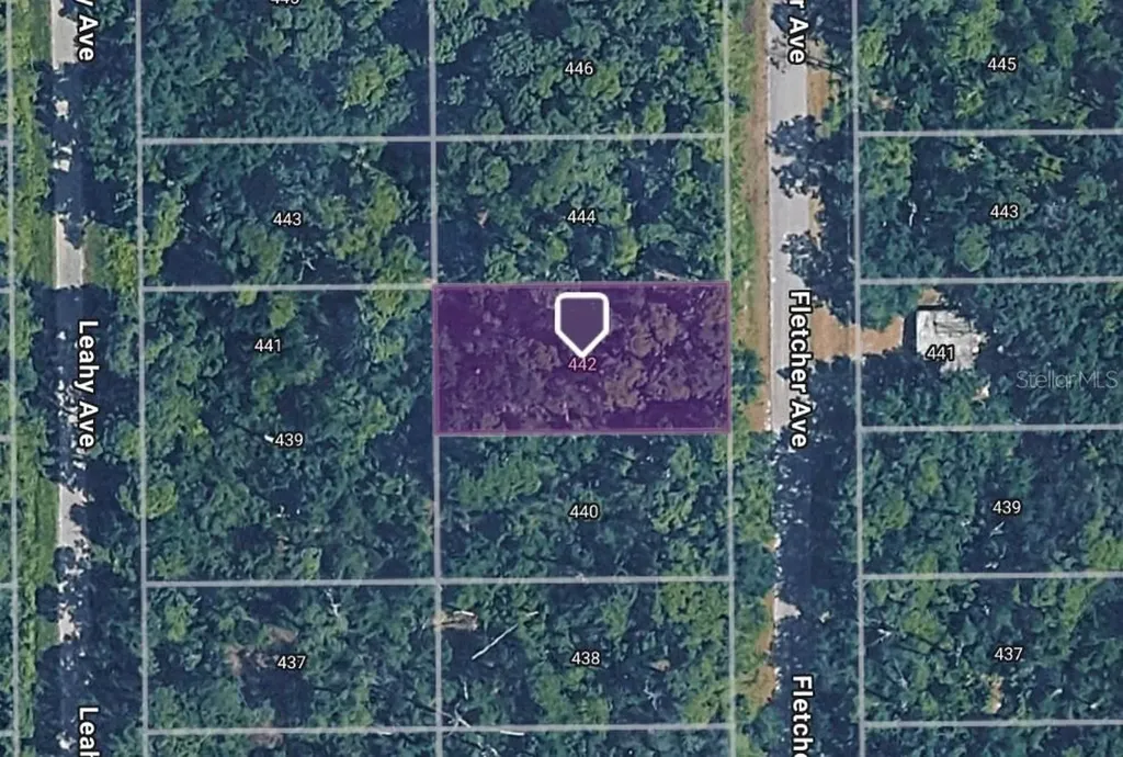 442 Fletcher Avenue Lake Placid FL 33852