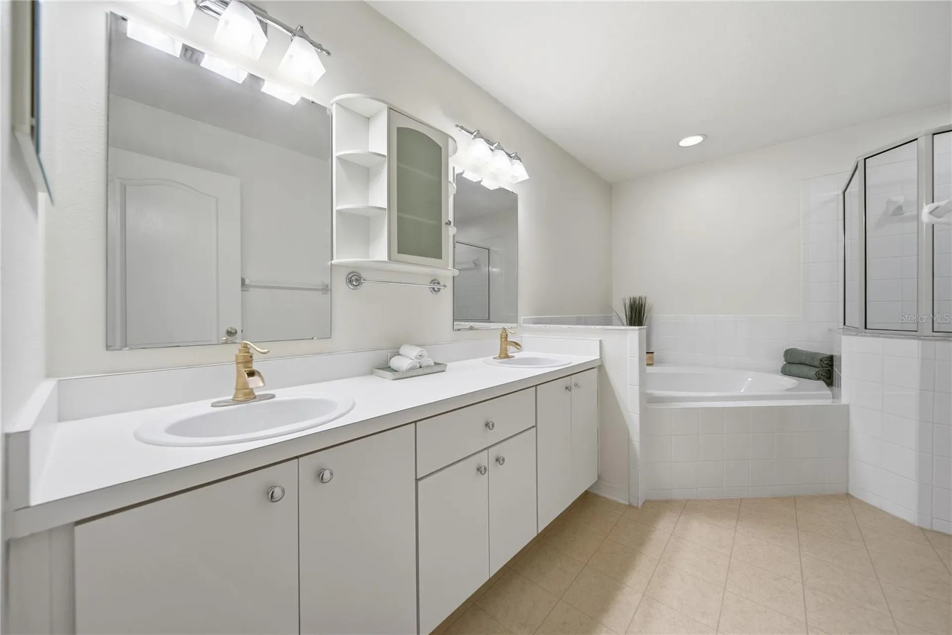 24504 Mistwood Court Lutz FL 33559