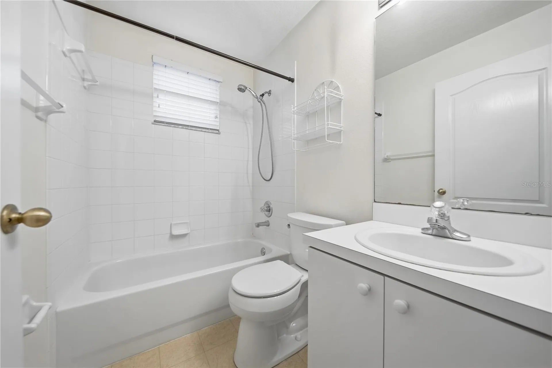 24504 Mistwood Court Lutz FL 33559