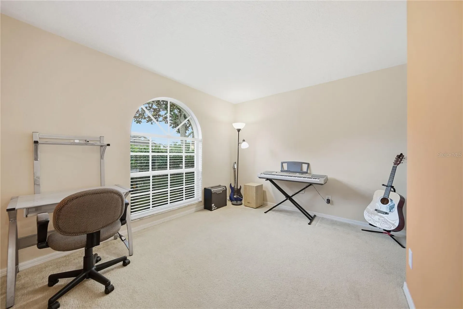24504 Mistwood Court Lutz FL 33559
