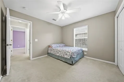 24504 Mistwood Court Lutz FL 33559