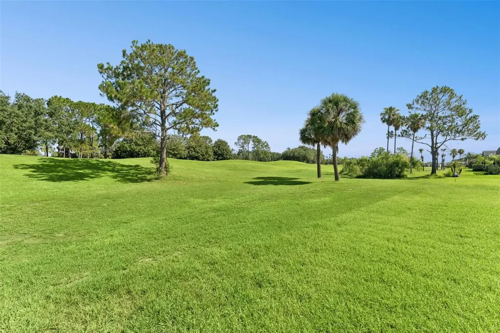2496 Baronsmede Court Winter Garden FL 34787