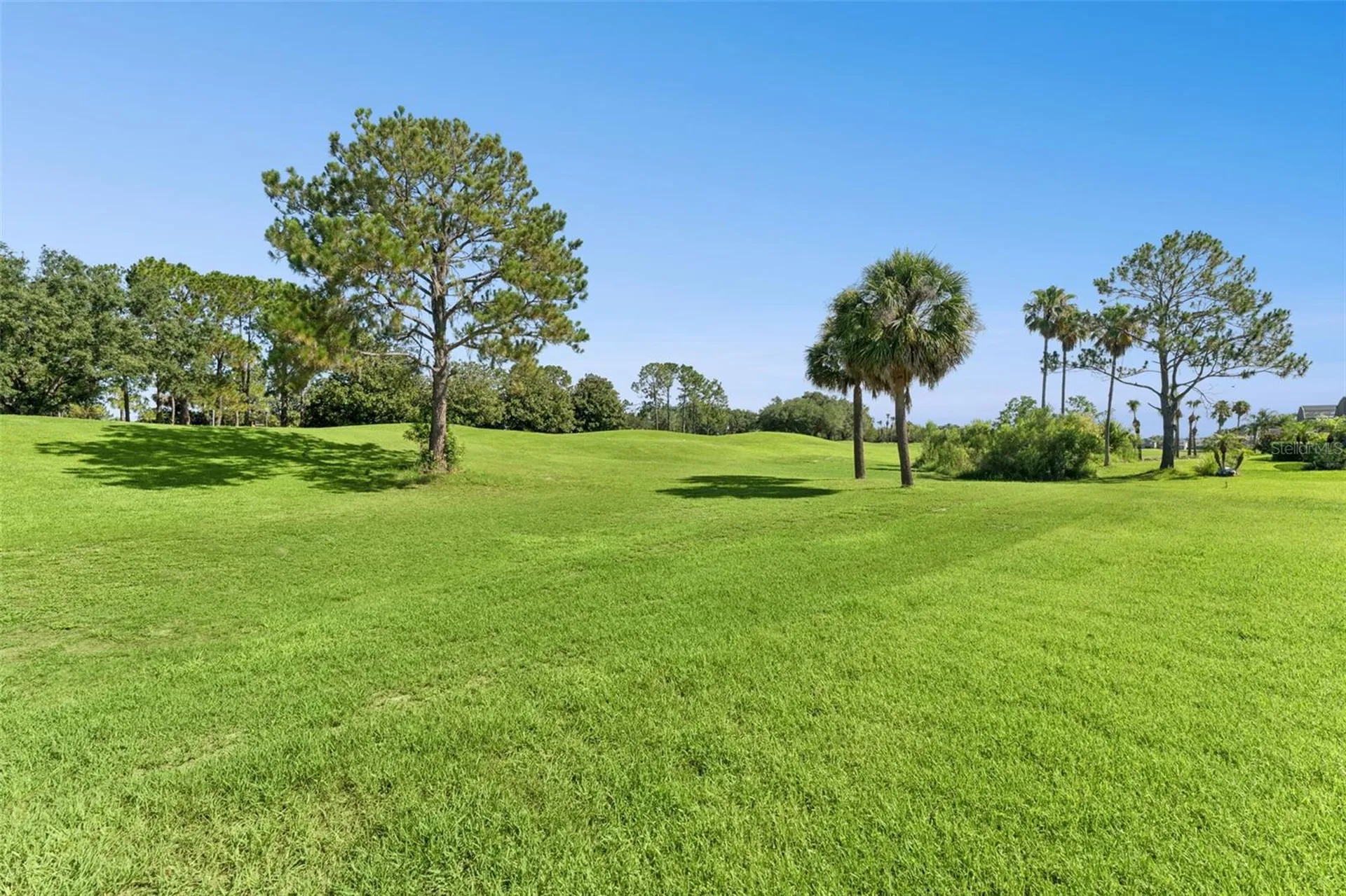 2496 Baronsmede Court Winter Garden FL 34787