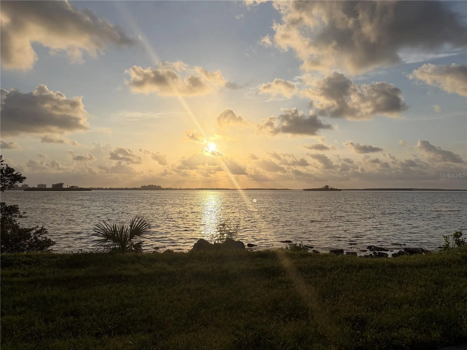 1105 Sunnydale Drive Clearwater FL 33755
