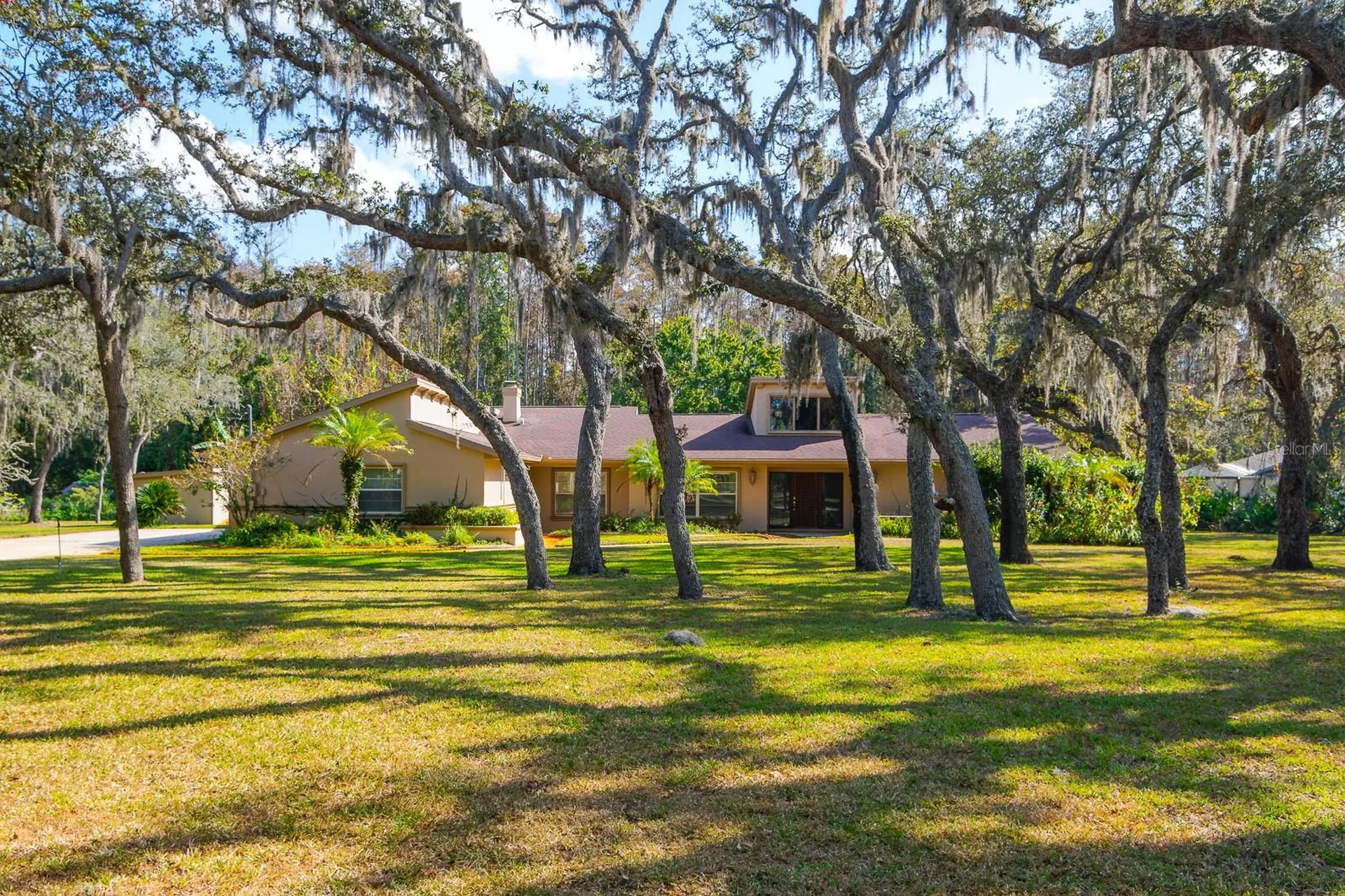 10206 Lakeview Drive New Port Richey FL 34654