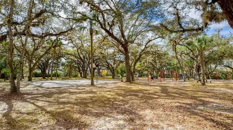 14445 Chinese Elm Drive Orlando FL 32828