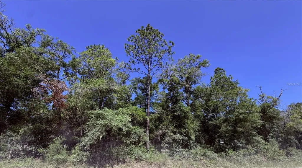 0 NE 90th Avenue Bronson FL 32621