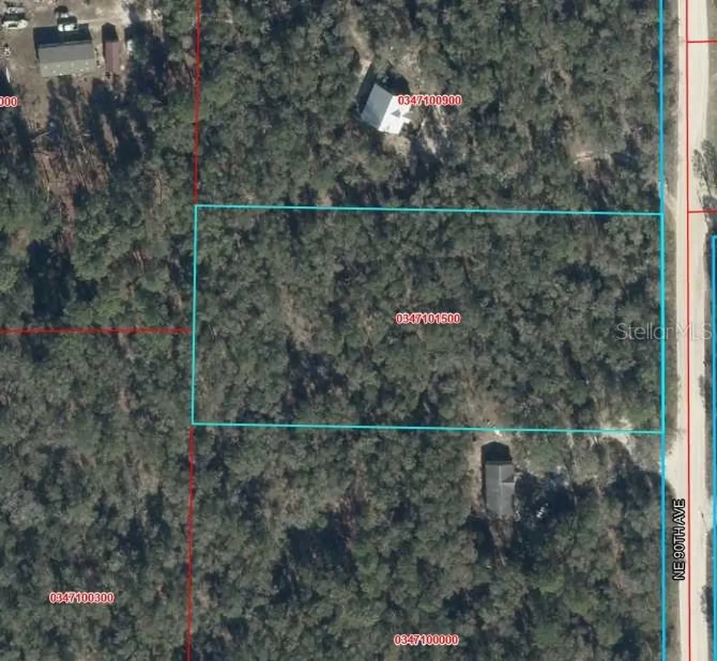 0 NE 90th Avenue Bronson FL 32621