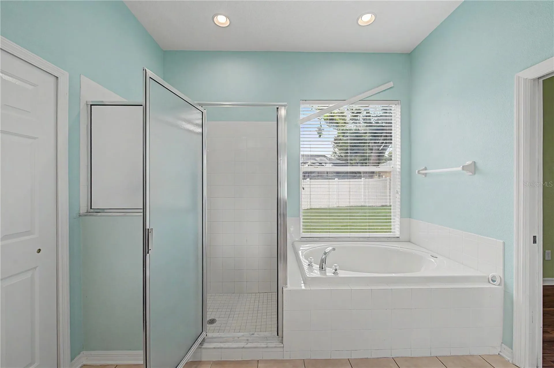 2418 Blue Stone Court Valrico FL 33594
