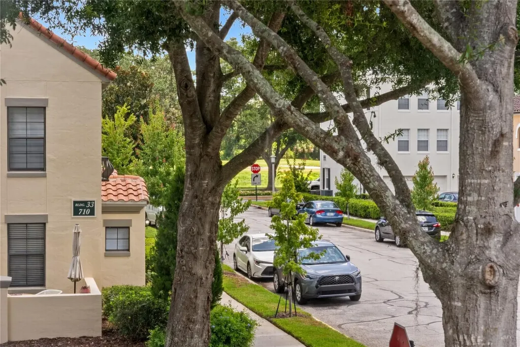 714 Siena Palm Drive Celebration FL 34747