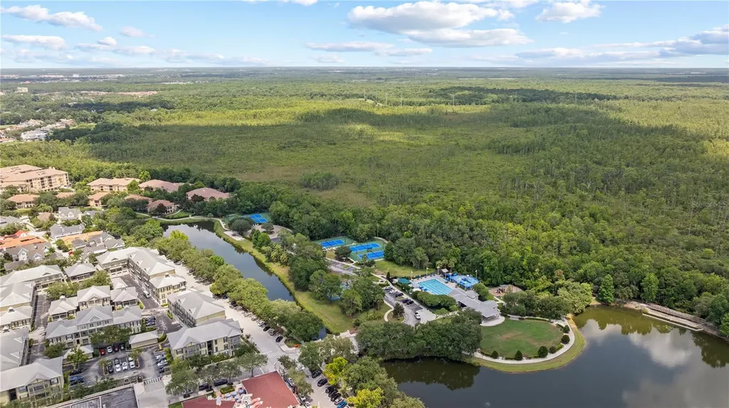 714 Siena Palm Drive Celebration FL 34747