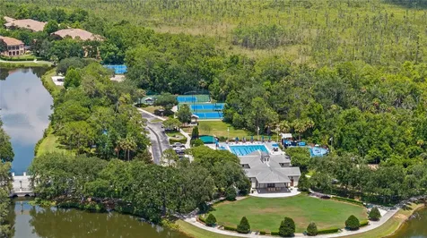 714 Siena Palm Drive Celebration FL 34747