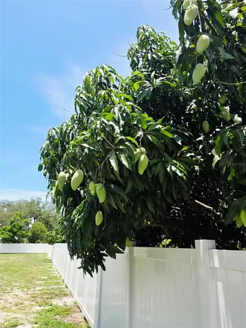 11958 Murray Avenue Largo FL 33778