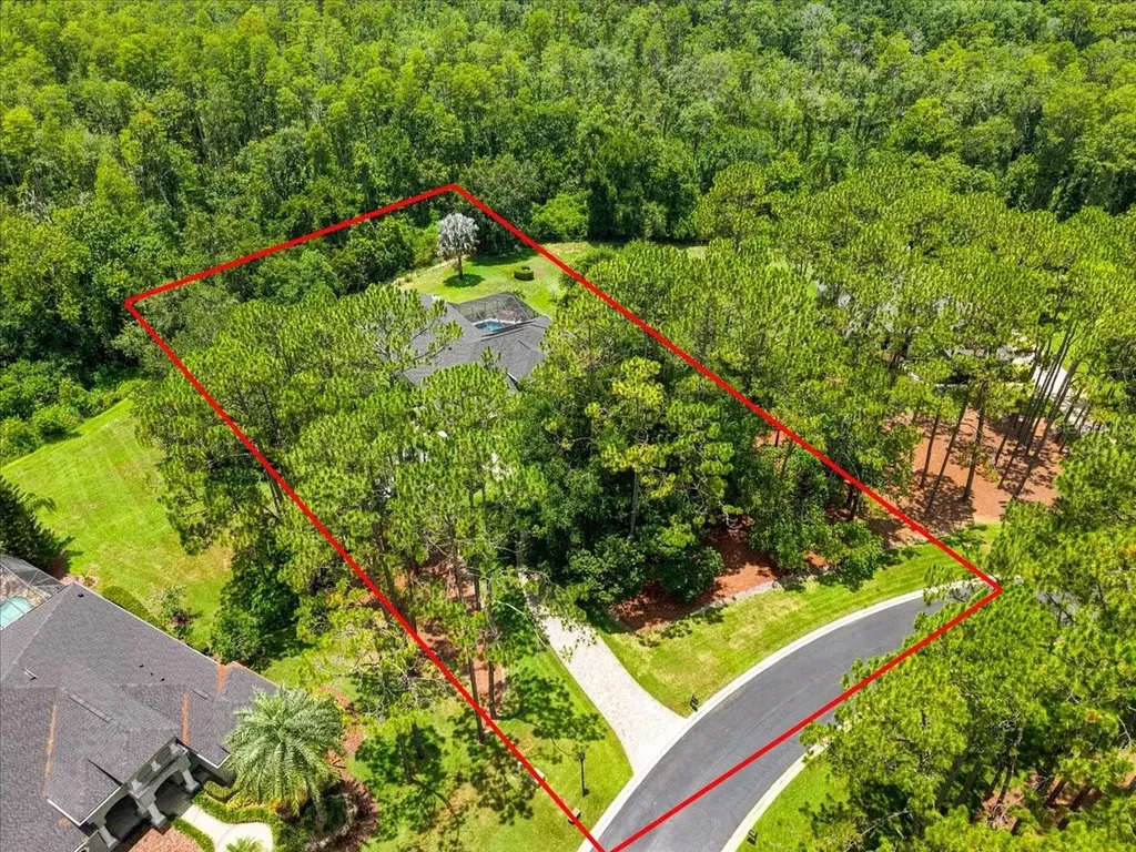 418 Pine Bluff Drive Lutz FL 33549