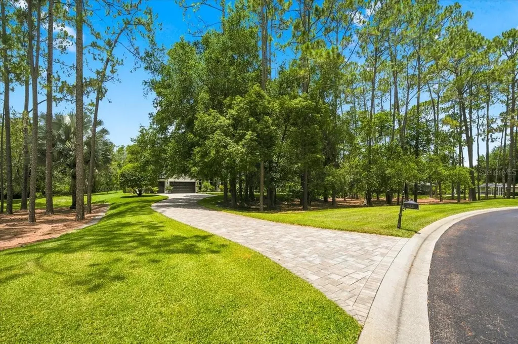 418 Pine Bluff Drive Lutz FL 33549