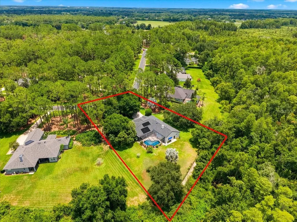 418 Pine Bluff Drive Lutz FL 33549