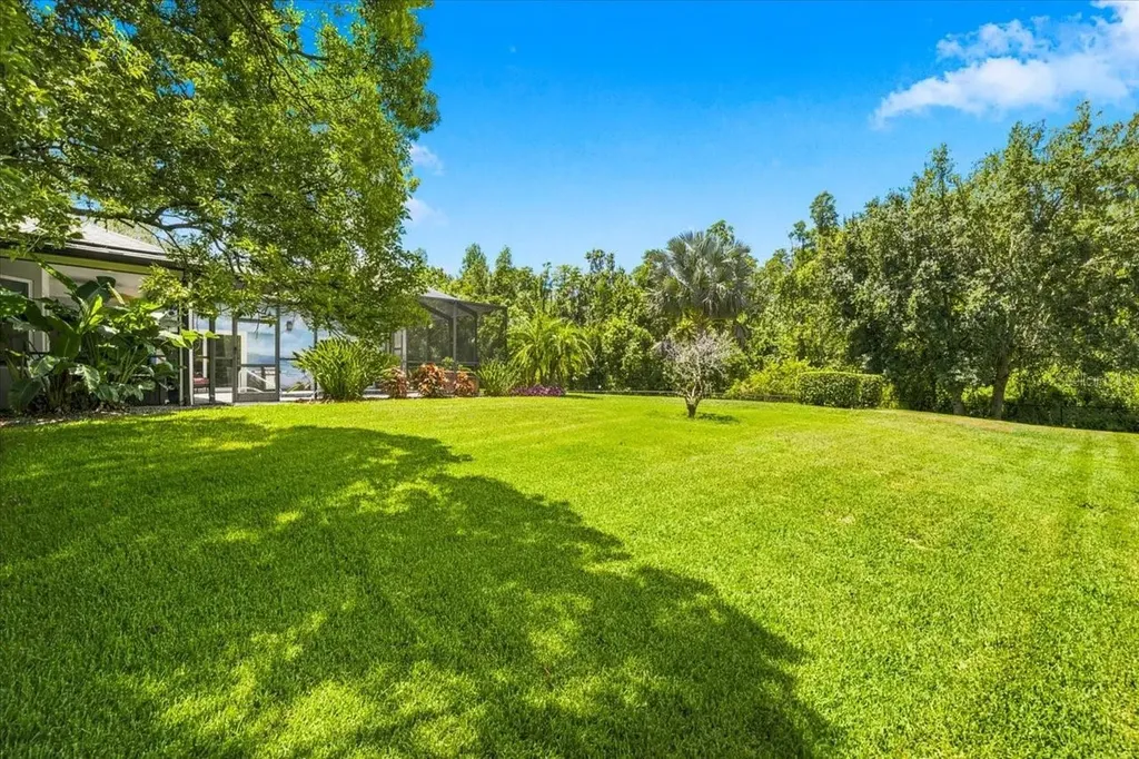 418 Pine Bluff Drive Lutz FL 33549