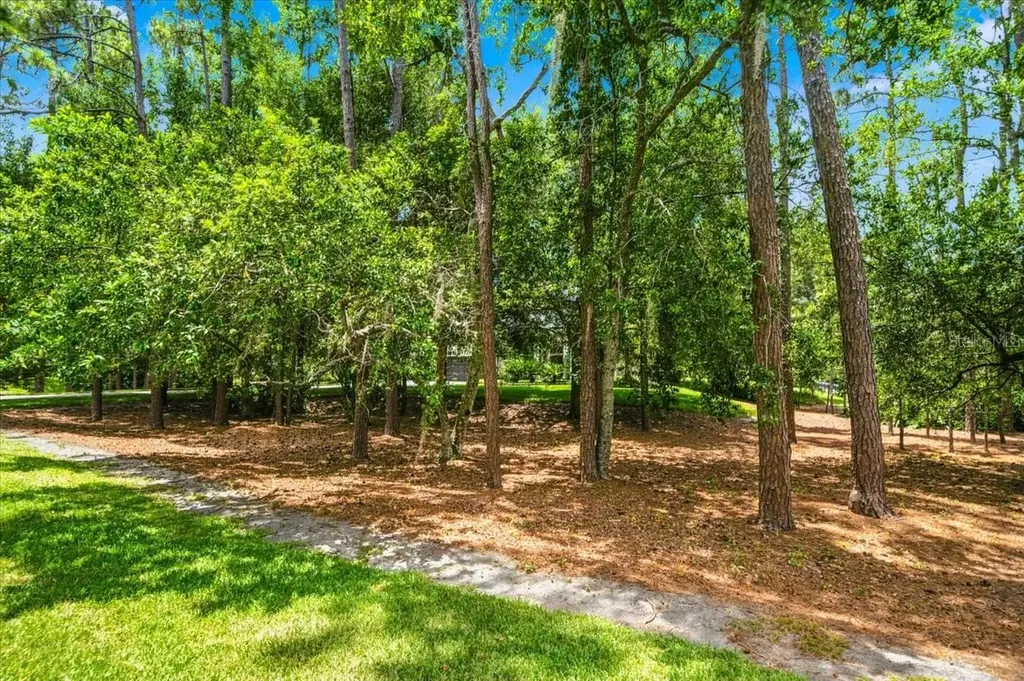 418 Pine Bluff Drive Lutz FL 33549