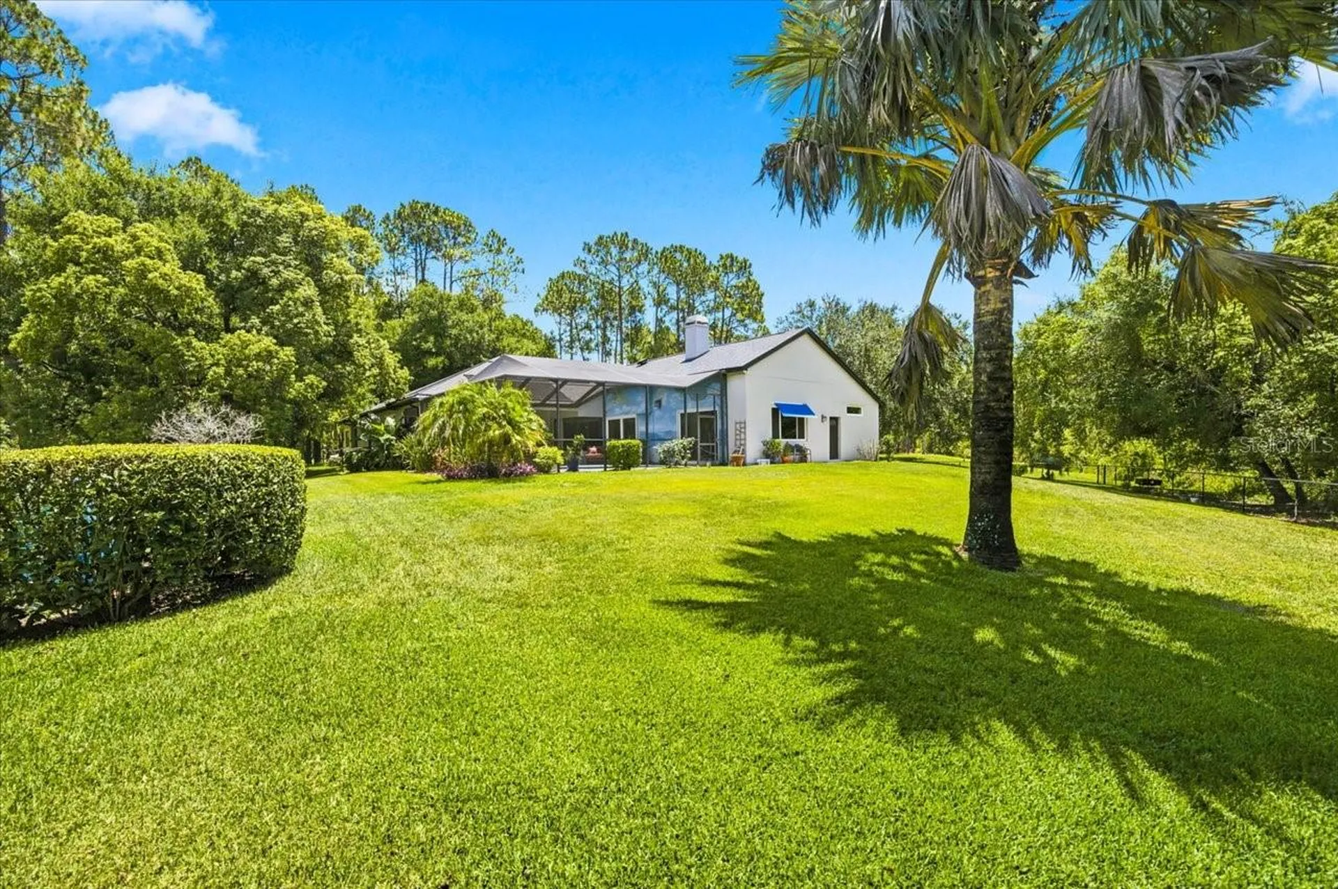 418 Pine Bluff Drive Lutz FL 33549