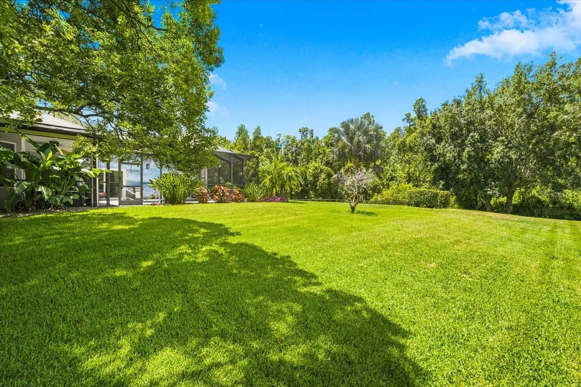 418 Pine Bluff Drive Lutz FL 33549