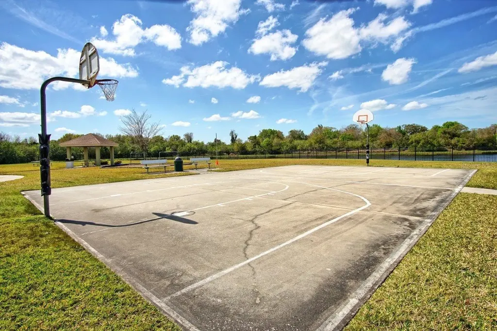 11619 Iris Spring Court Riverview FL 33579