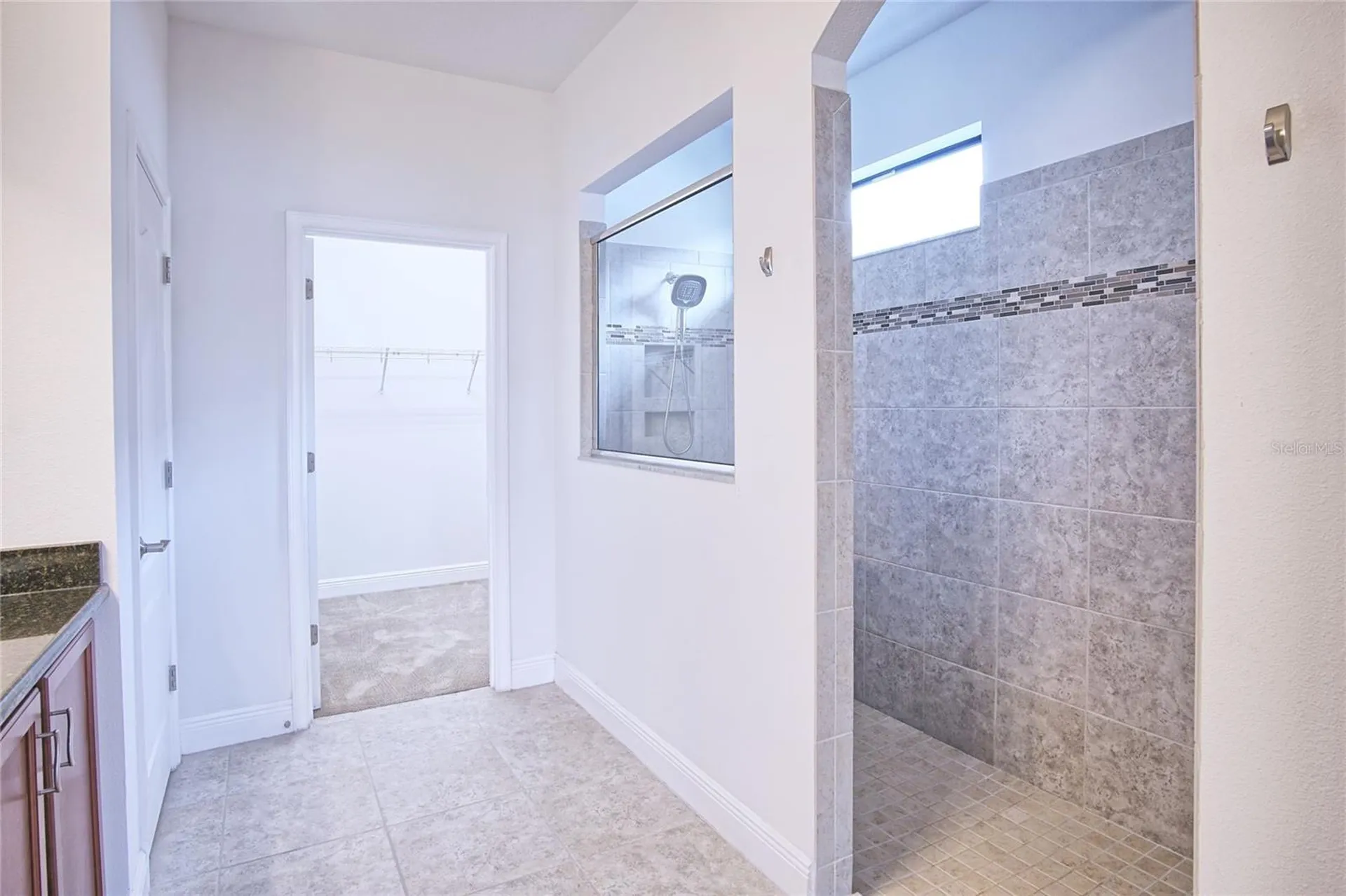 11619 Iris Spring Court Riverview FL 33579