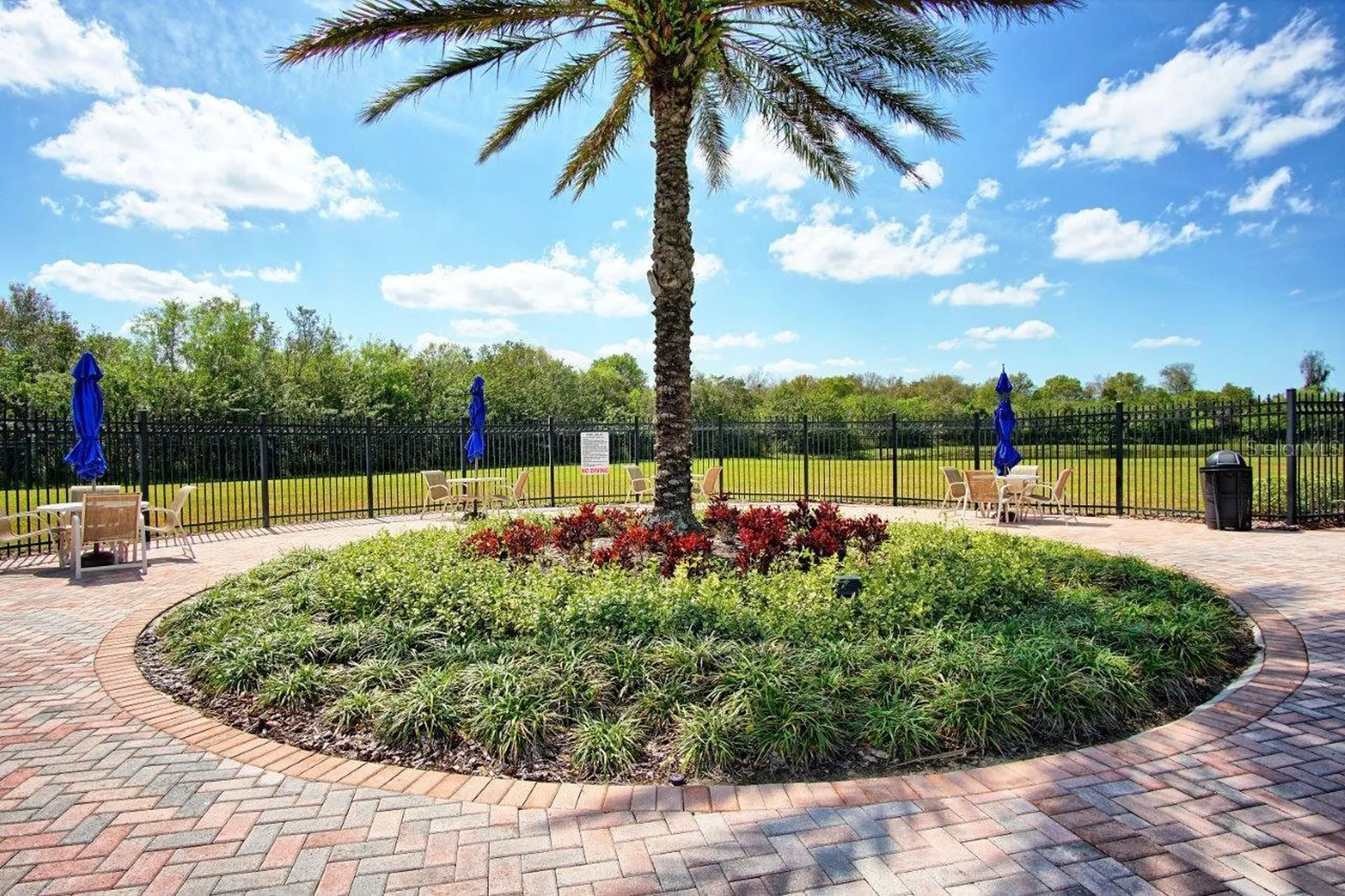 11619 Iris Spring Court Riverview FL 33579
