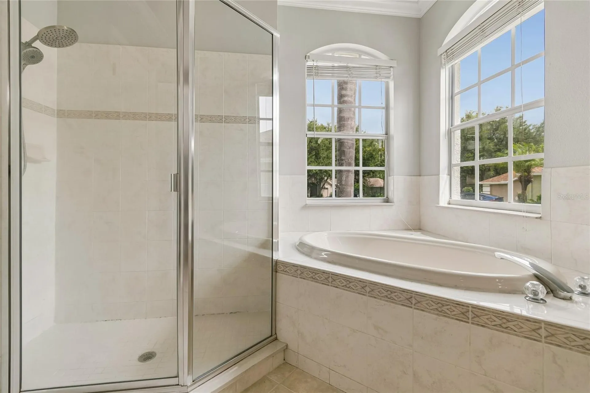 3102 White Pheasant Place Valrico FL 33596
