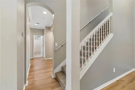 3102 White Pheasant Place Valrico FL 33596