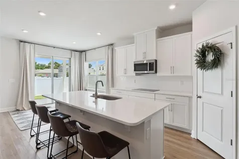 455 Winter Solstice Lane Mount Dora FL 32757