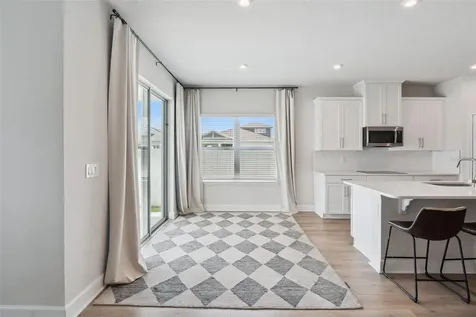 455 Winter Solstice Lane Mount Dora FL 32757