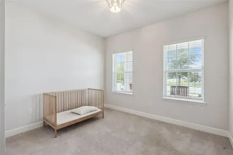455 Winter Solstice Lane Mount Dora FL 32757