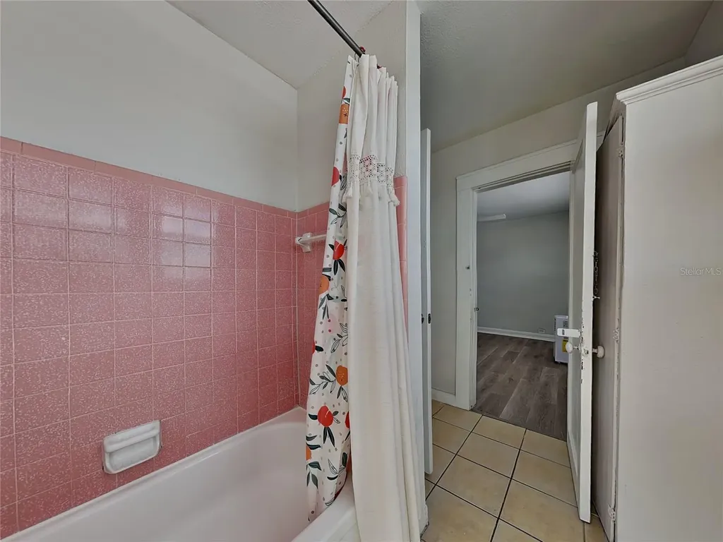 2904 W Chestnut Street Tampa FL 33607