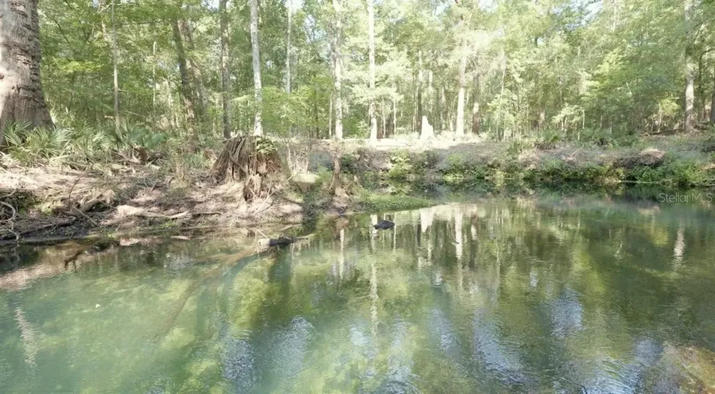 5278 SW County Road 138 Fort White FL 32038
