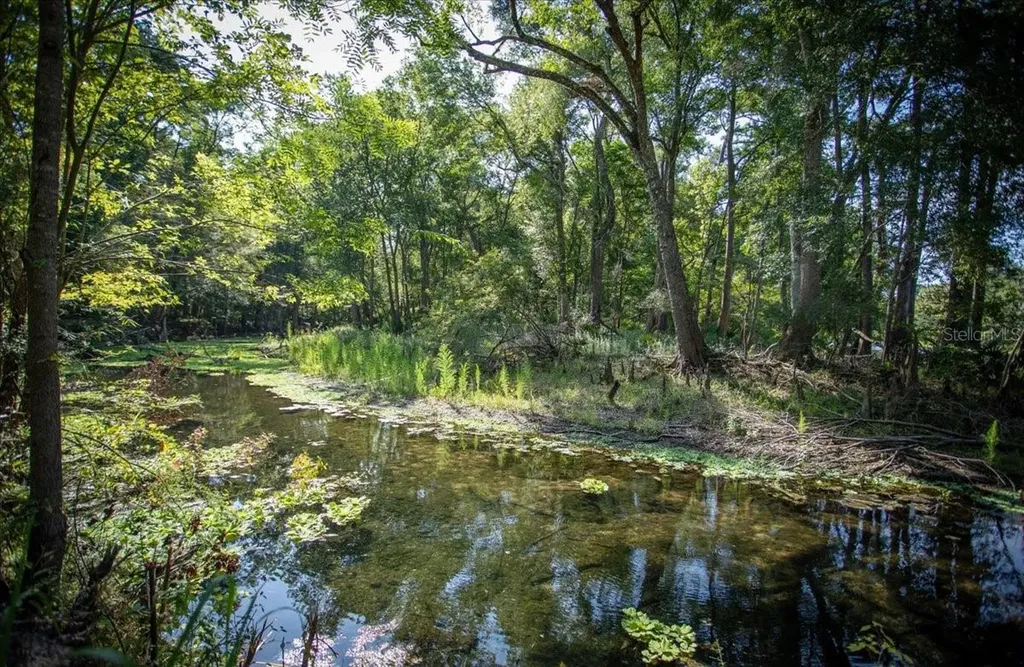 5278 SW County Road 138 Fort White FL 32038