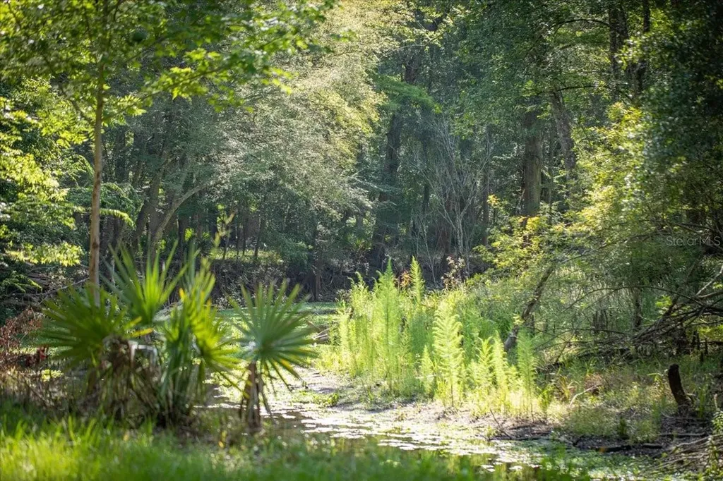 5278 SW County Road 138 Fort White FL 32038