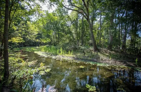 5278 SW County Road 138 Fort White FL 32038