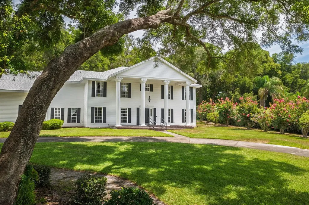7219 Chesterhill Circle Mount Dora FL 32757